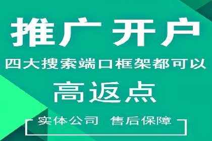 百度SEM广告投放的创意与执行：成功案例详解